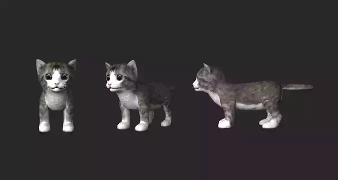 Cute cat 3D model material file 3D model