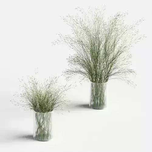 Grass in Vases 2