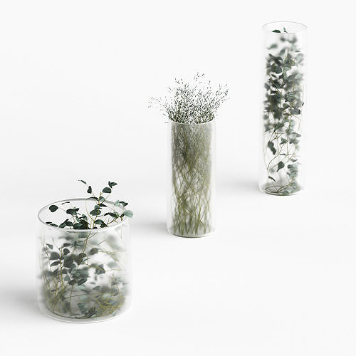 Plants in frosted vases 3D model