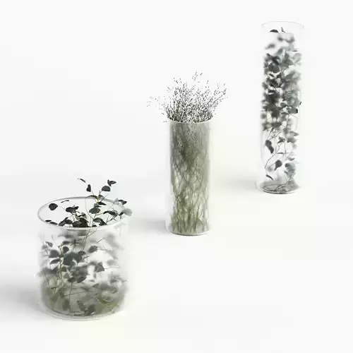 Plants in frosted vases 3D model