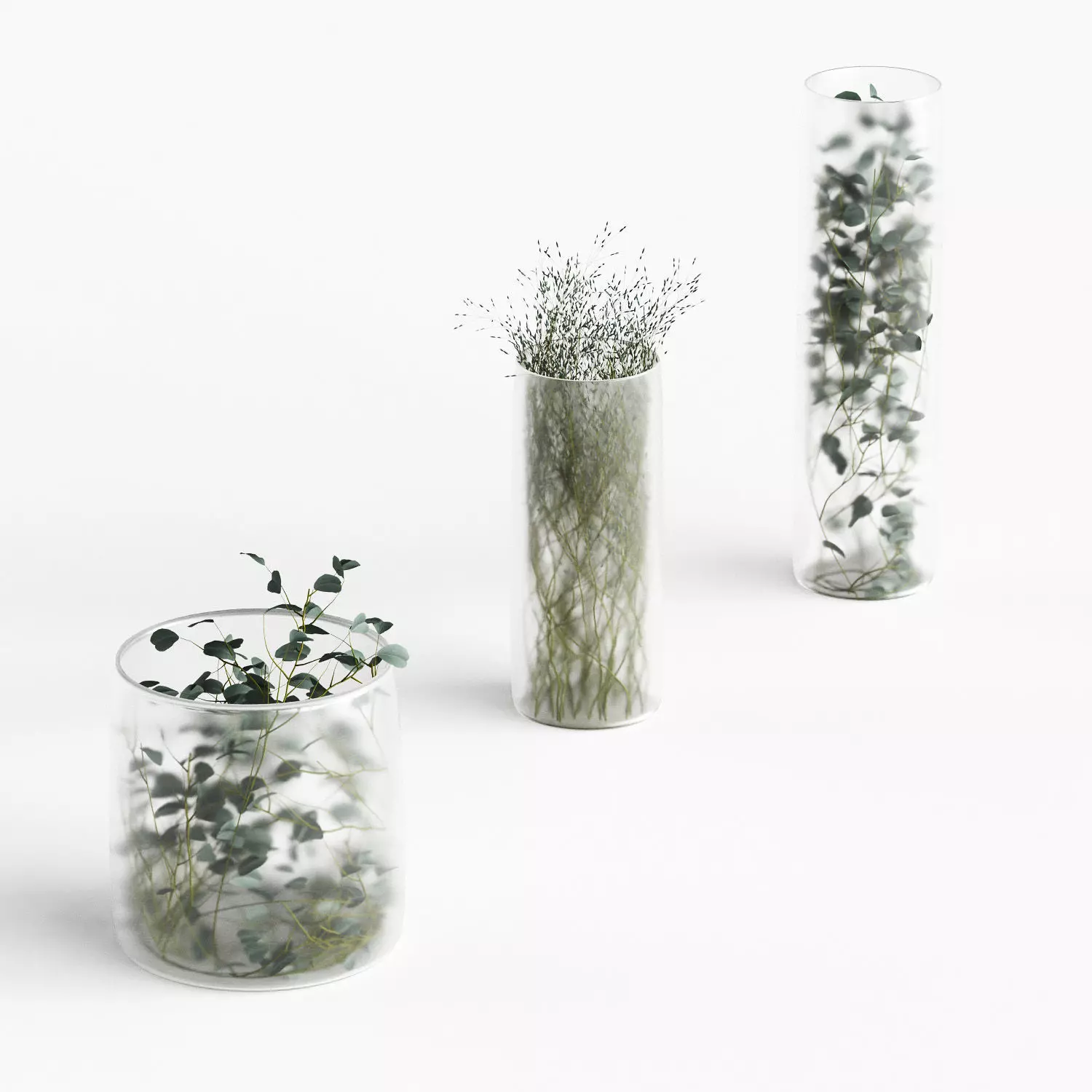 Plants in frosted vases 3D model_0