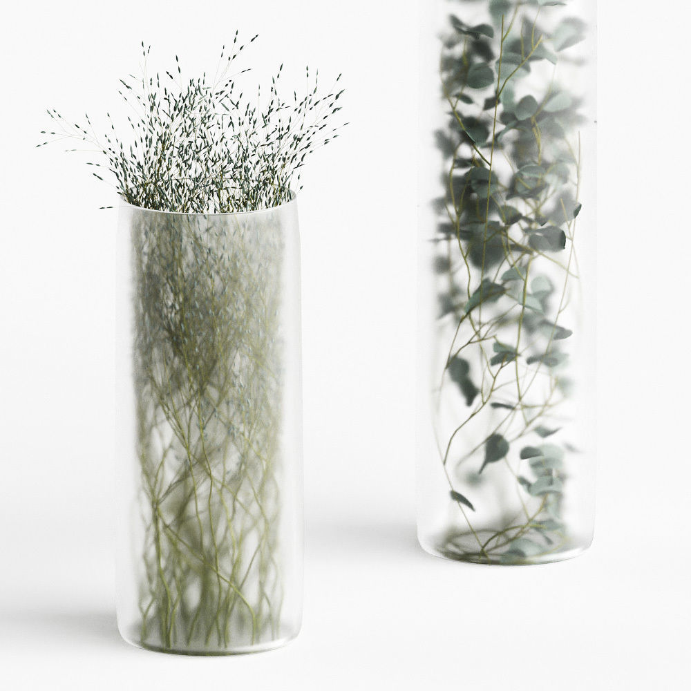 Plants in frosted vases 3D model_1