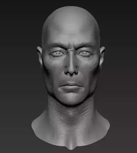 Asian Male Head 3D model