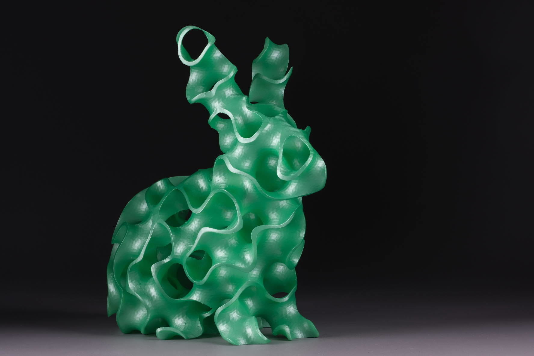 Gyroid Rabbit Model - Minimal Surface 3D print model_5