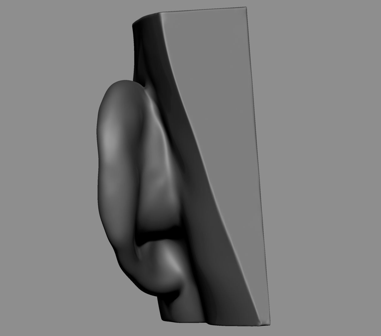 Ear Model Collection 3D model_7