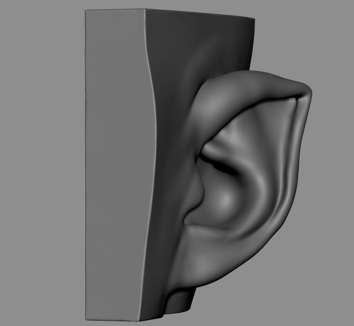 Ear Model Collection 3D model_9