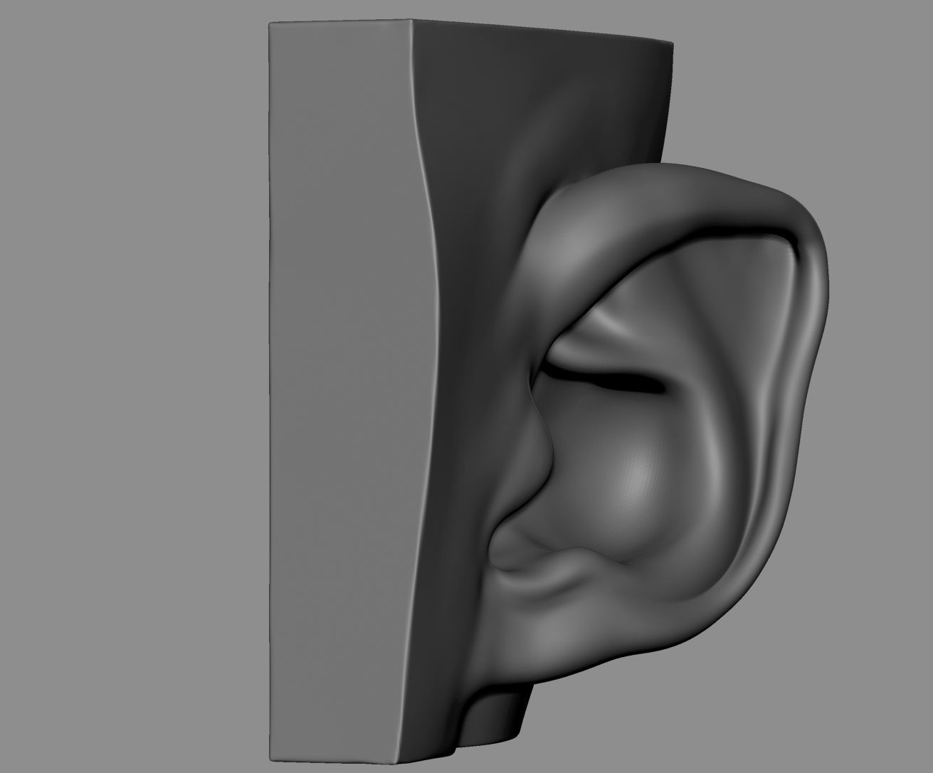Ear Model Collection 3D model_11
