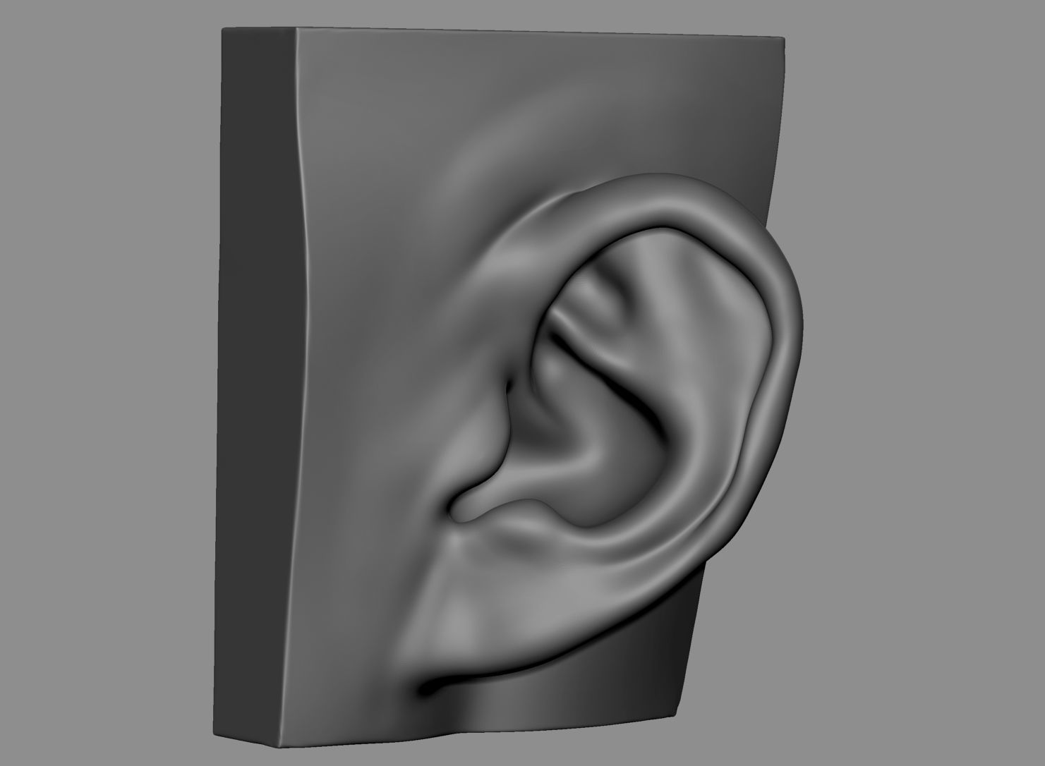 Ear Model Collection 3D model_1