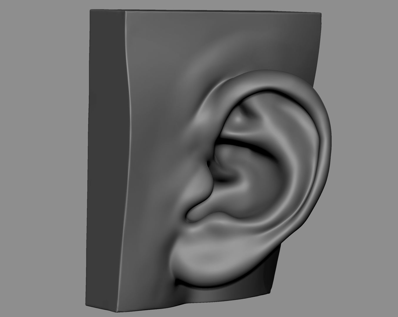 Ear Model Collection 3D model_2