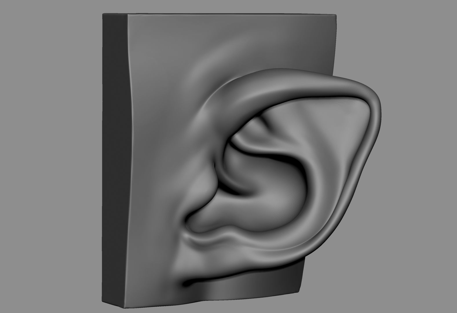 Ear Model Collection 3D model_4