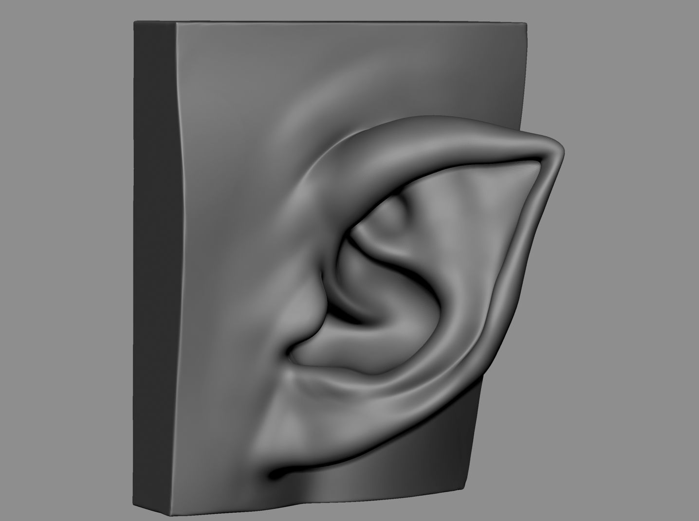 Ear Model Collection 3D model_3