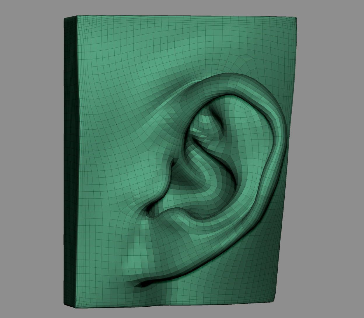Ear Model Collection 3D model_12