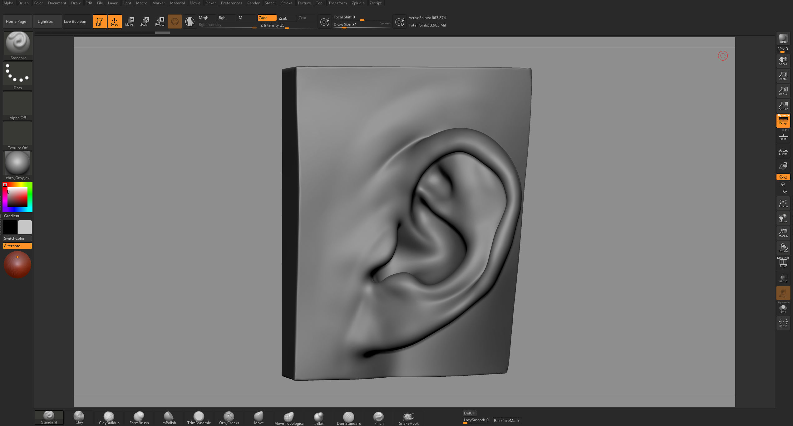 Ear Model Collection 3D model_13