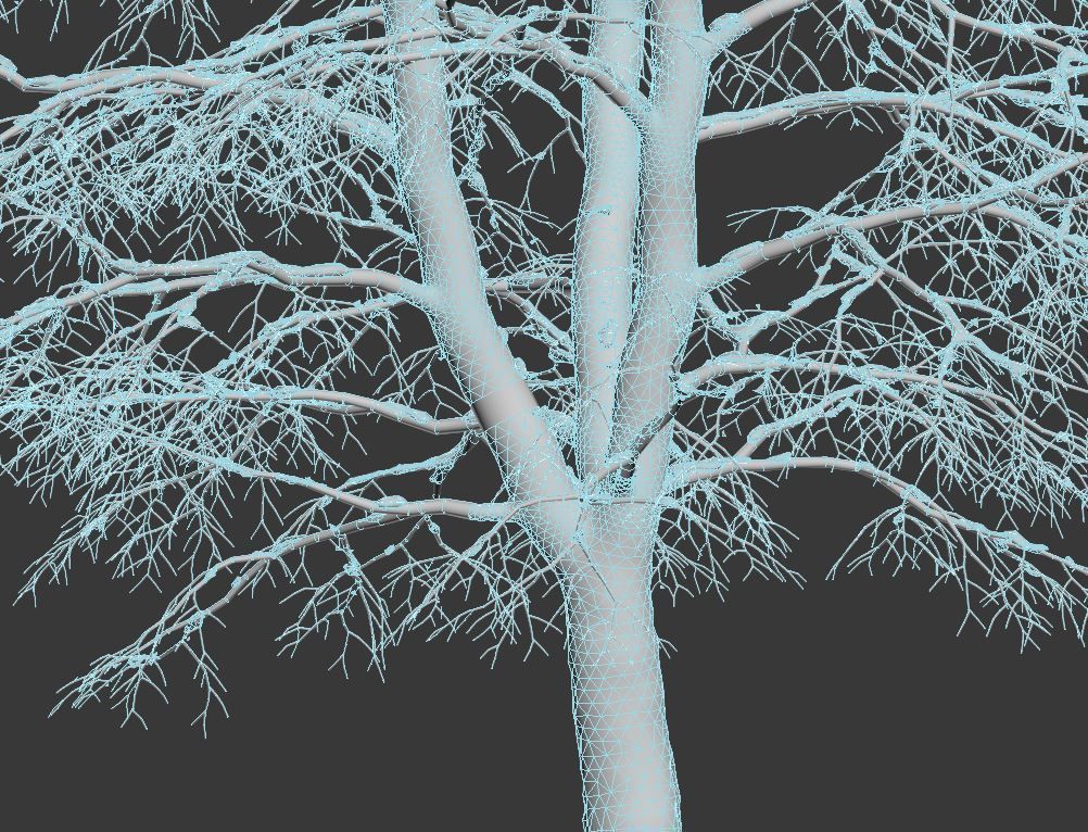 Tilia europaea Nr 6 H7-9m Three winter tree set 3D model_2
