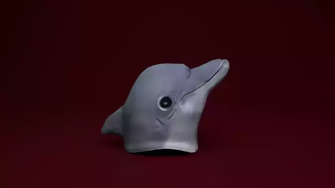 dolphin Mask Low-poly 3D model