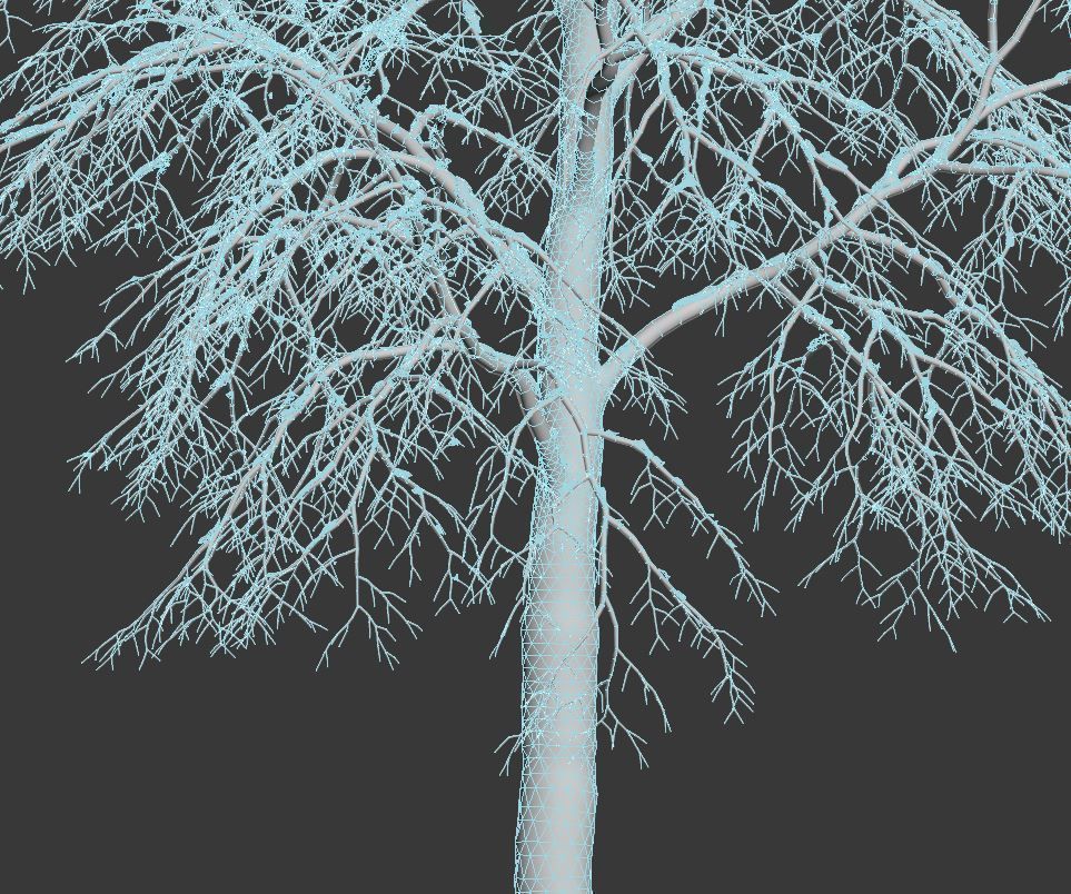 Tilia europaea Nr 7 H11-14m Three winter tree set 3D model_2
