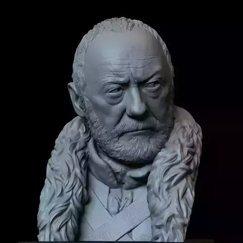 Davos Seaworth from Game of Thrones bust 200mm 3D print model