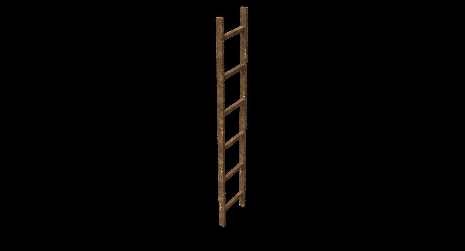 New and old wooden ladder Low-poly 3D model_22