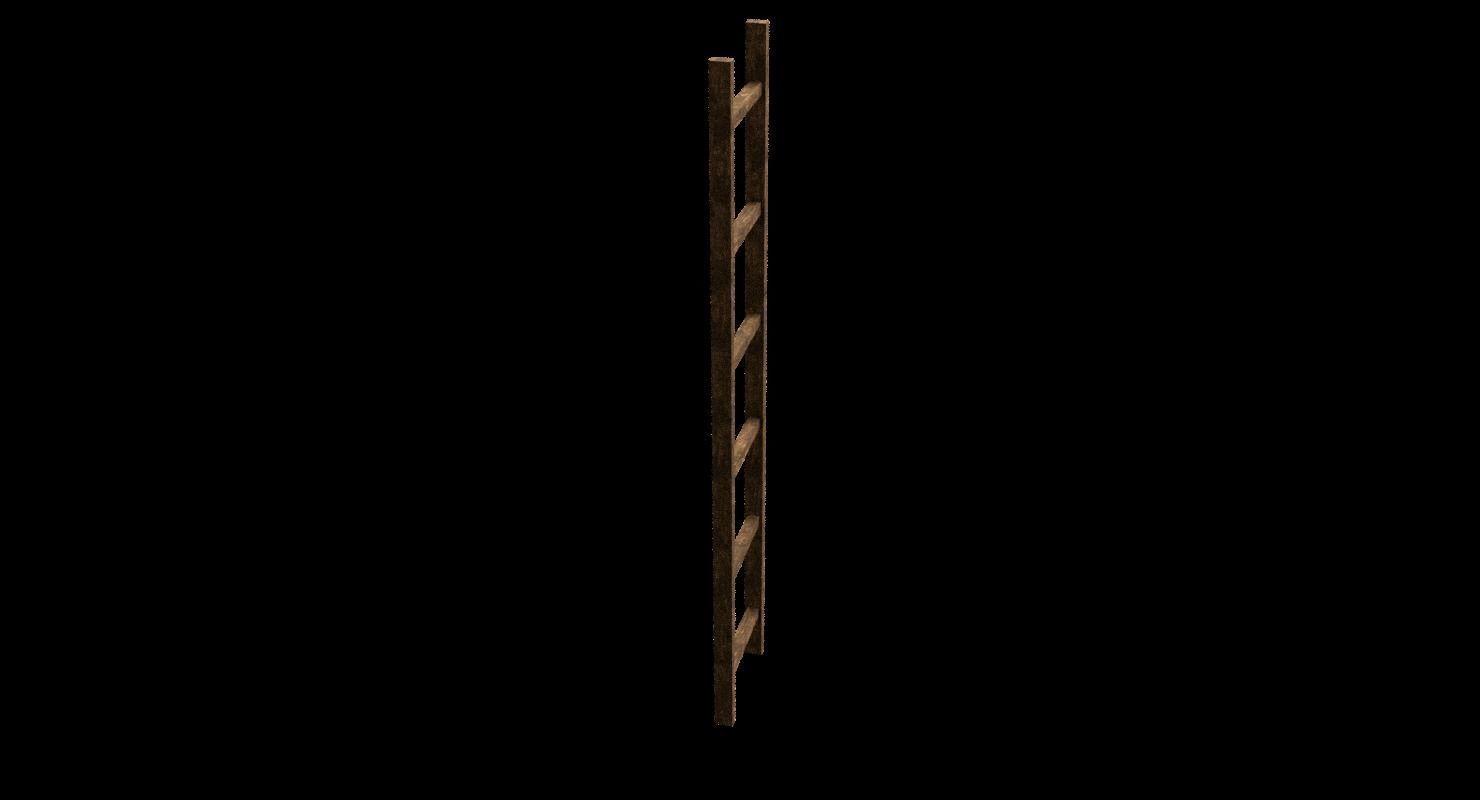 New and old wooden ladder Low-poly 3D model_11