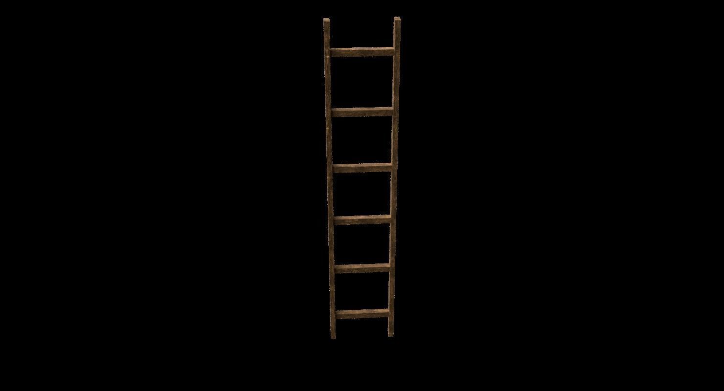 New and old wooden ladder Low-poly 3D model_17