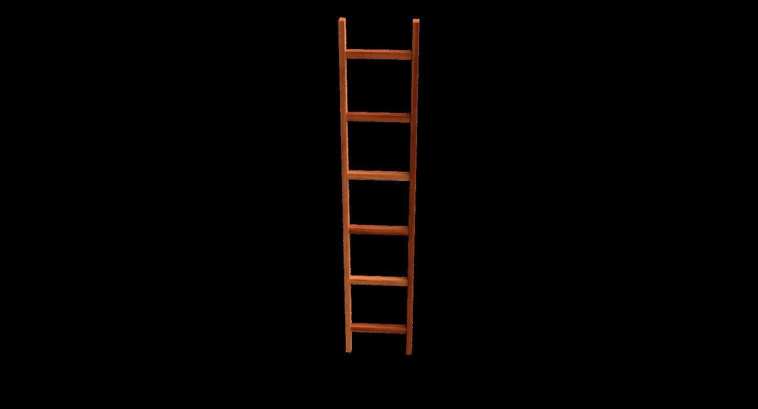 New and old wooden ladder Low-poly 3D model_24