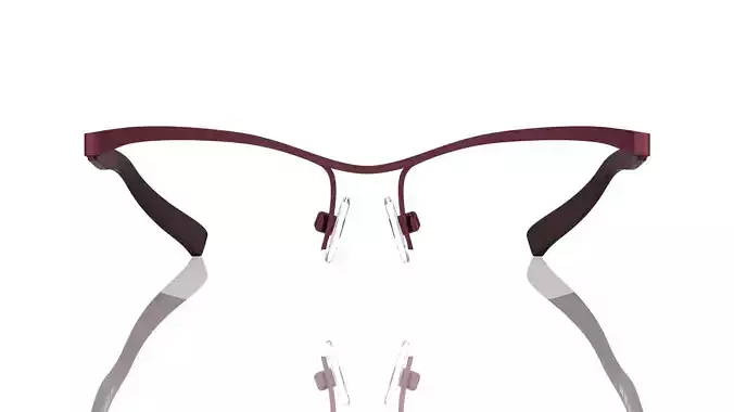 Eyeglasses for Men and Women 3D print model