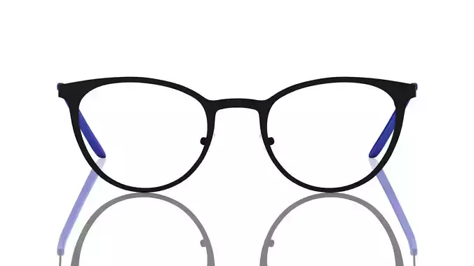 Eyeglasses for Men and Women 3D print model