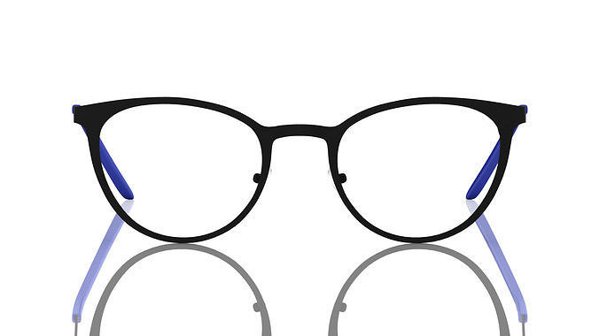 Eyeglasses for Men and Women 3D print model