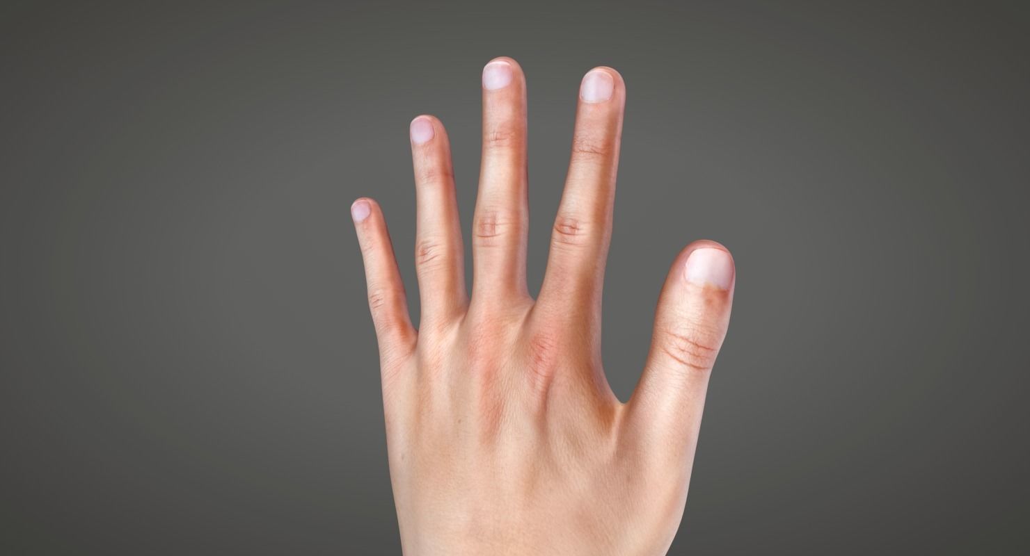 Human Hand Low-poly 3D model_4