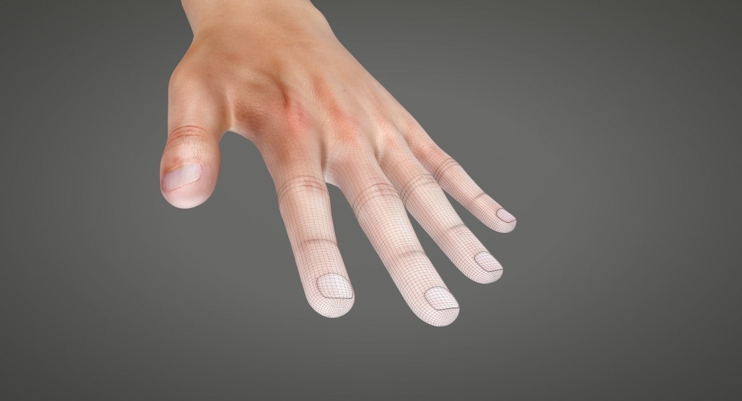 Human Hand Low-poly 3D model_2