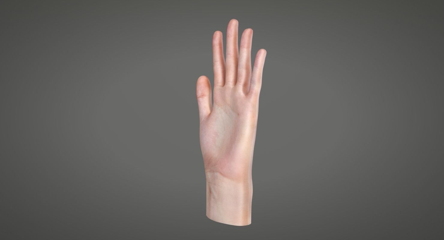 Human Hand Low-poly 3D model_5