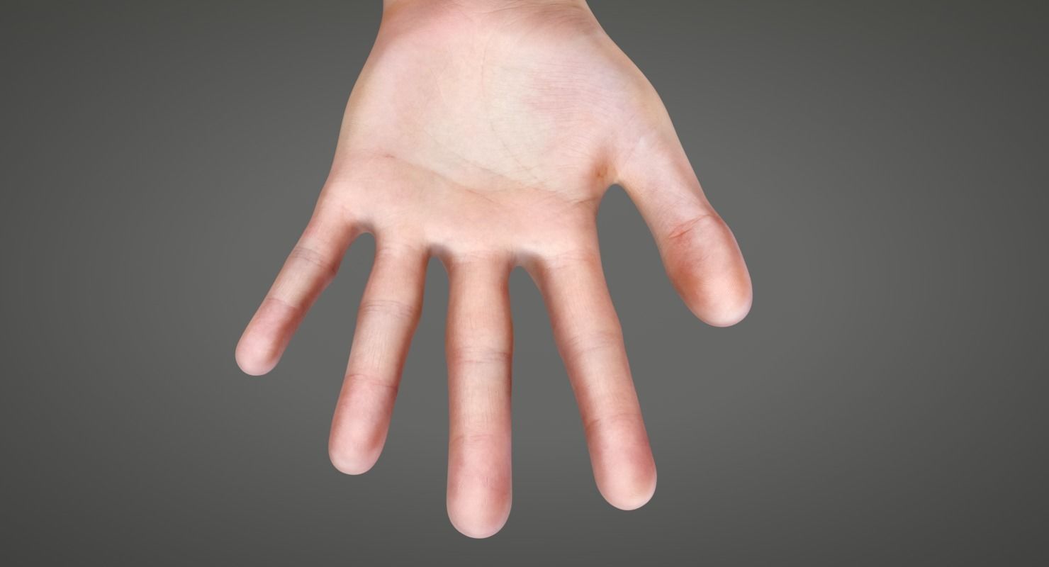 Human Hand Low-poly 3D model_3