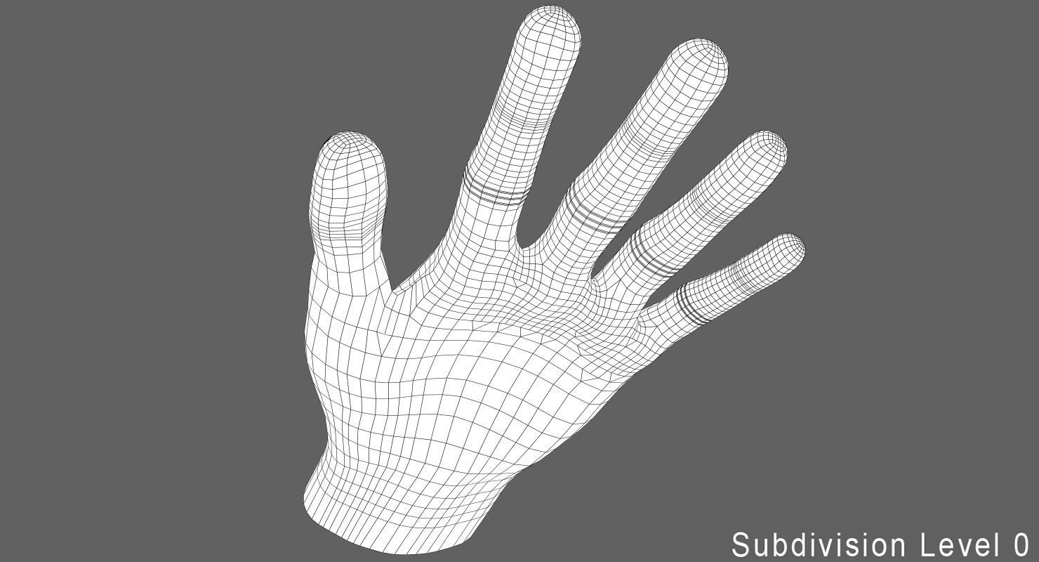 Human Hand Low-poly 3D model_8