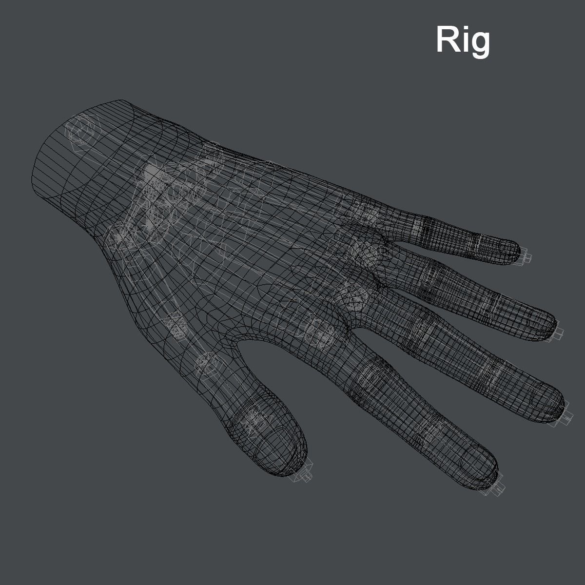 Human Hand Low-poly 3D model_7