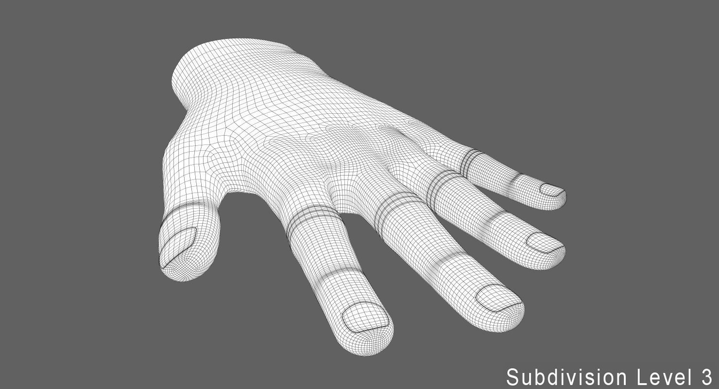 Human Hand Low-poly 3D model_11