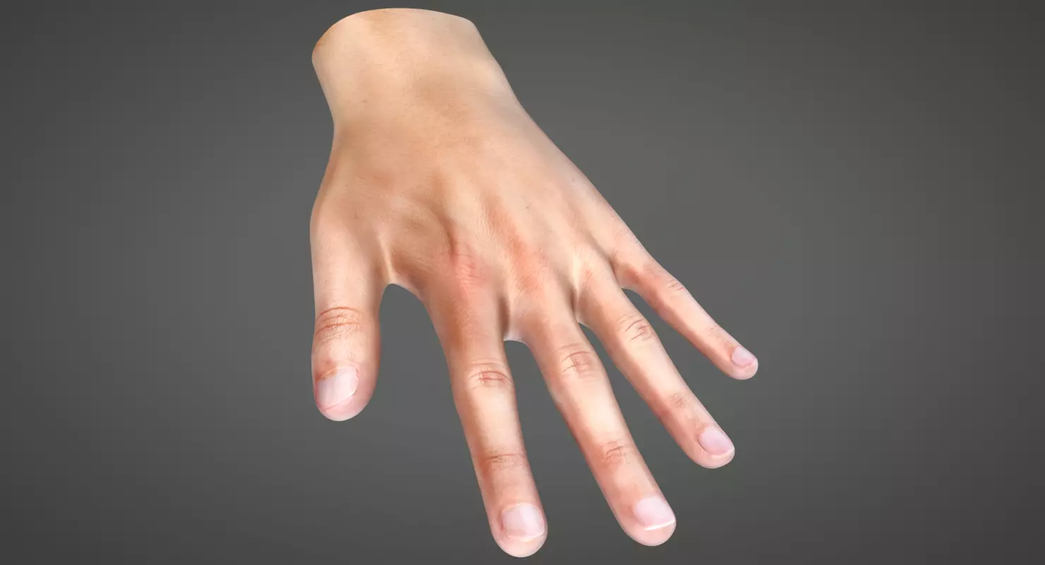 Human Hand Low-poly 3D model_0