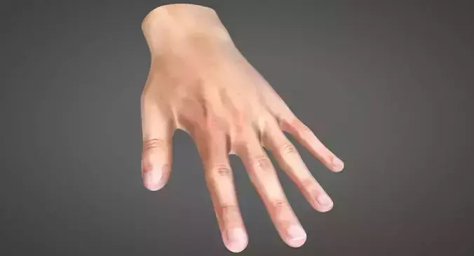 Human Hand Low-poly 3D model