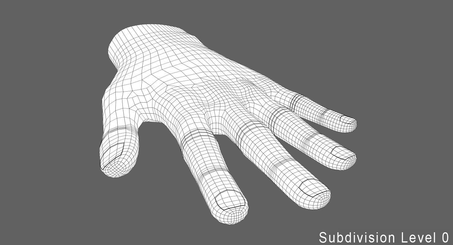 Human Hand Low-poly 3D model_12