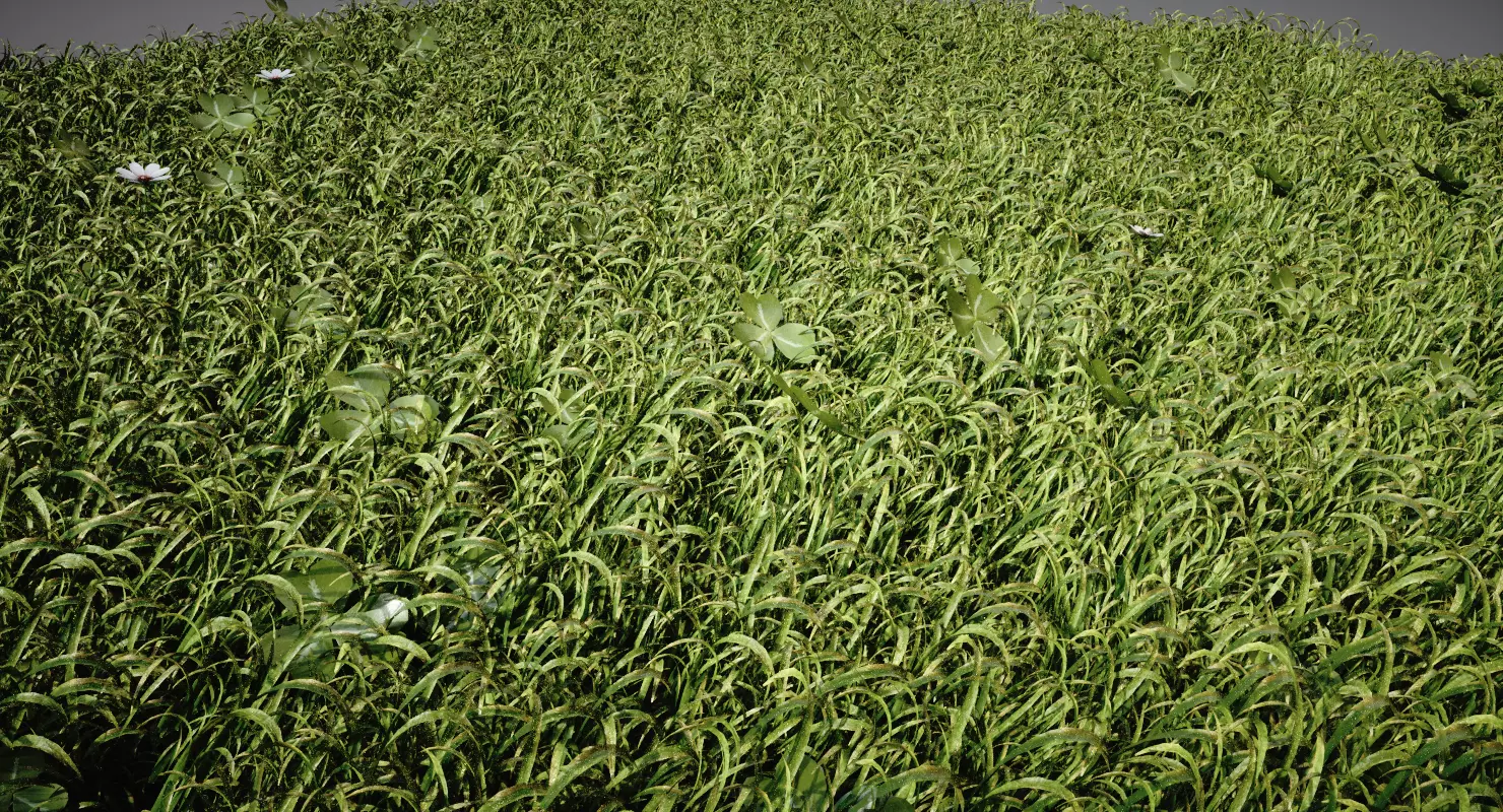 Grass tall in field Low-poly 3D model