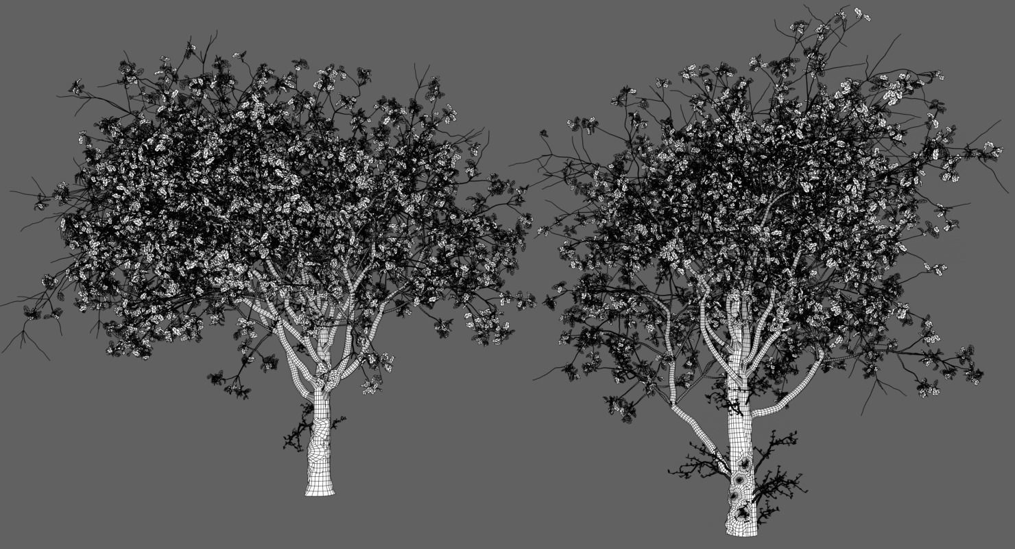 Trees Pack 3D model_13