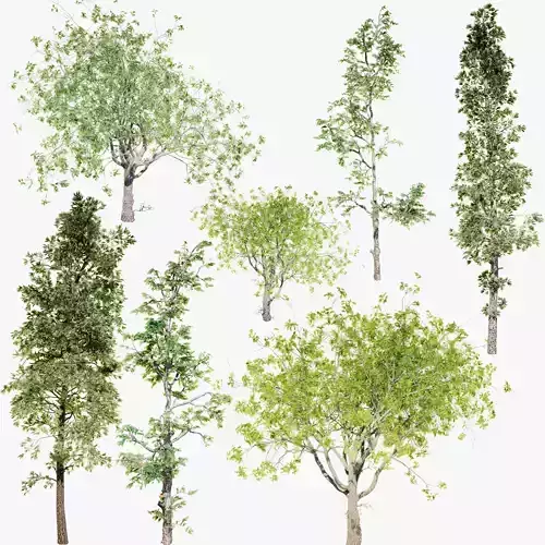 Trees Pack 3D model