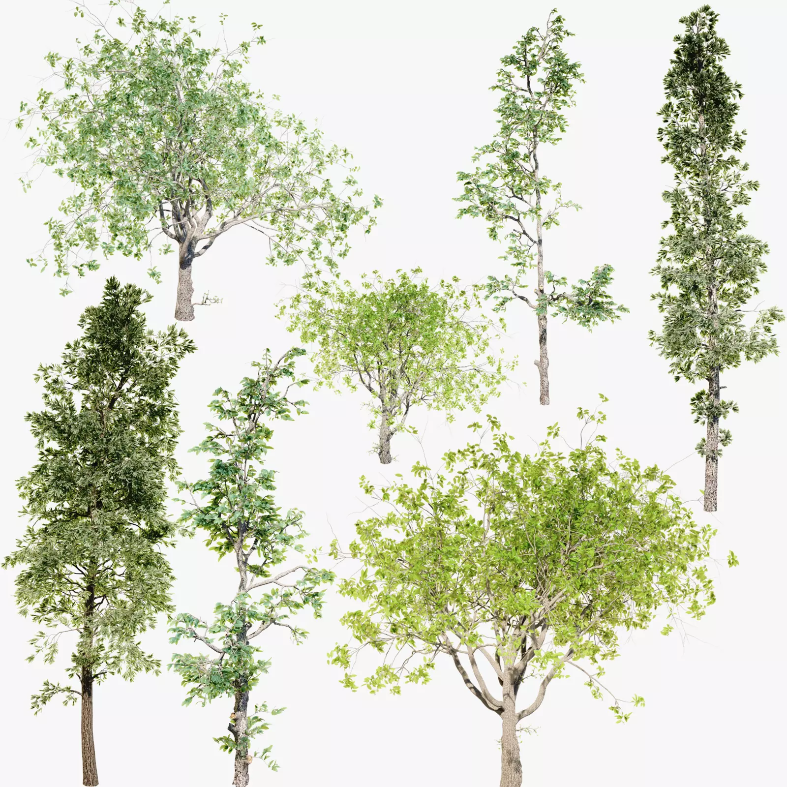 Trees Pack 3D model_0