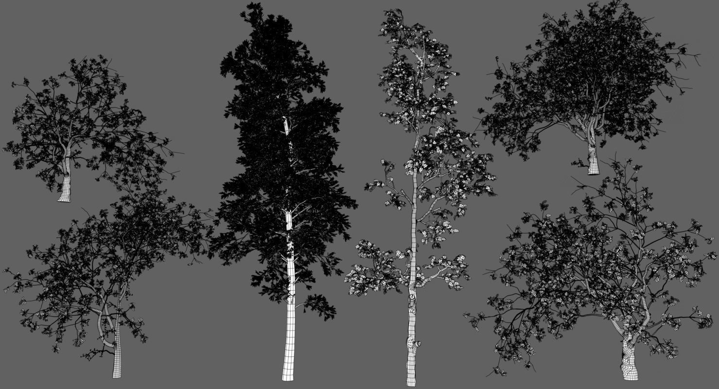 Trees Pack 3D model_12