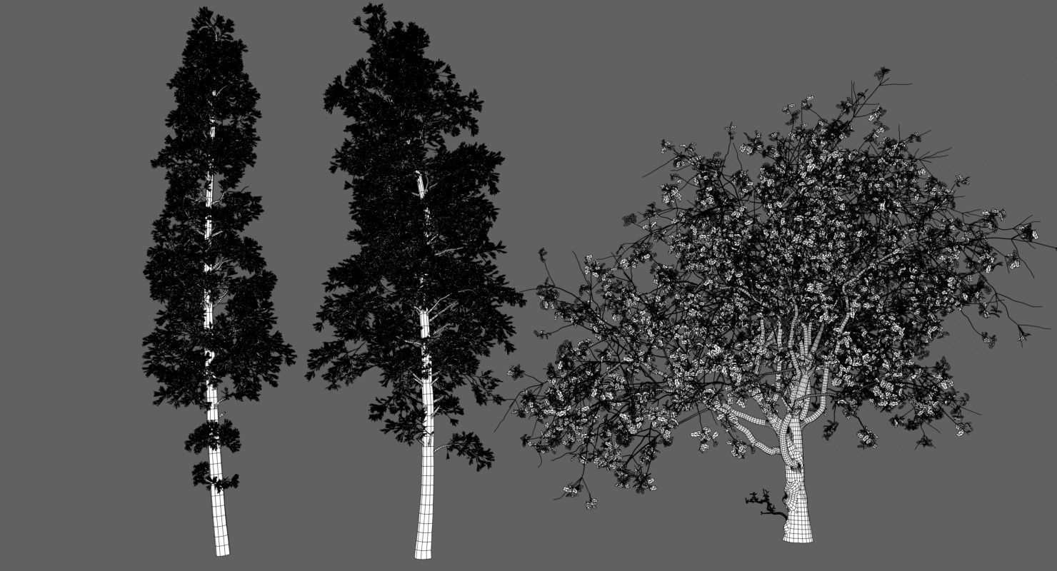 Trees Pack 3D model_11
