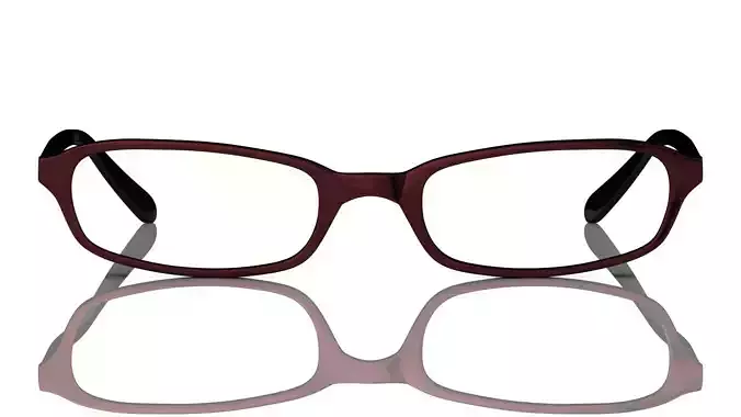 Eyeglasses for Men and Women 3D print model