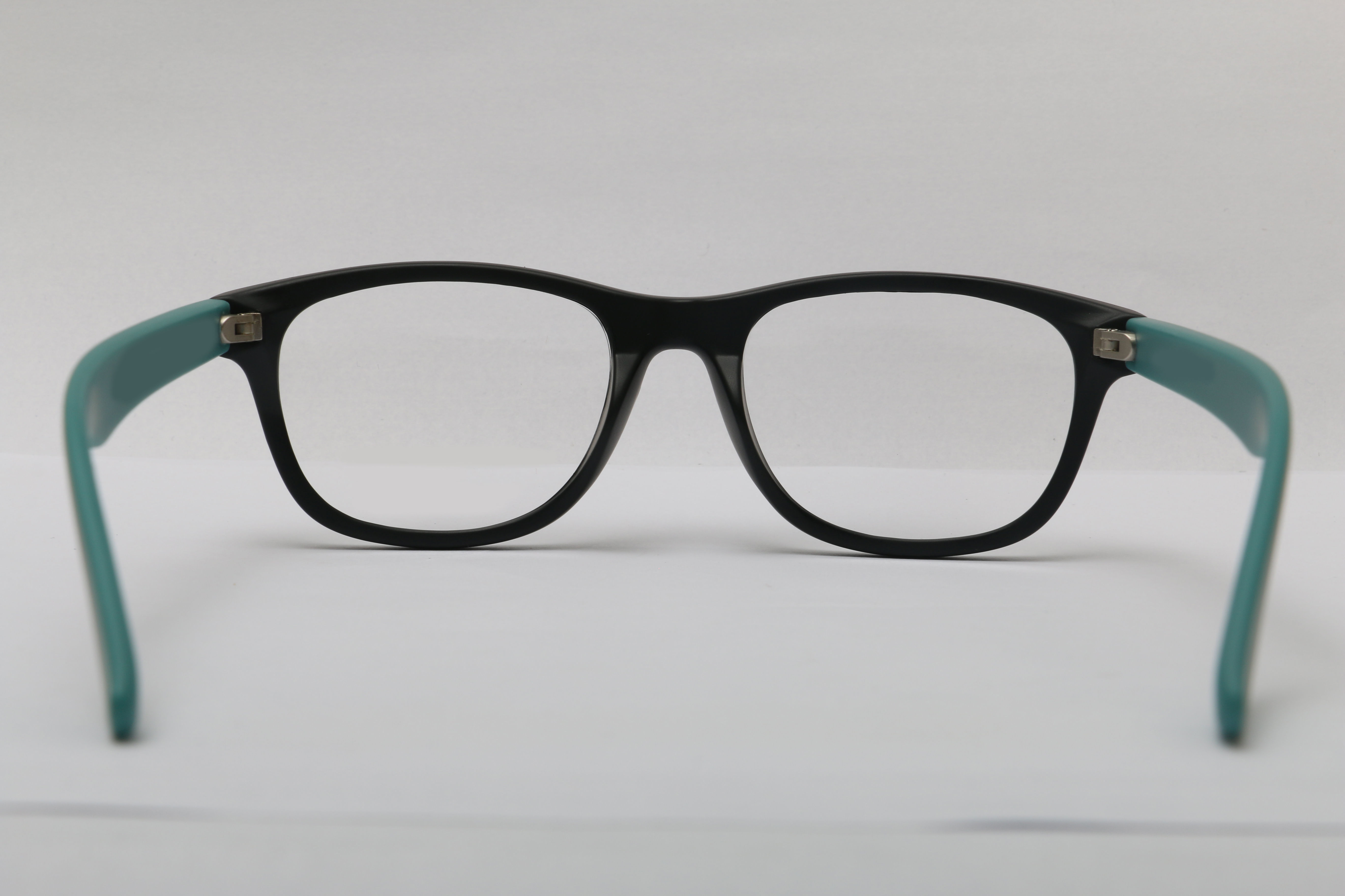 Eyeglasses for Men and Women 3D print model_10
