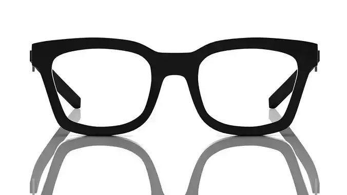 Eyeglasses for Men and Women 3D print model