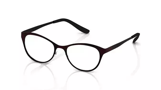 Eyeglasses for Men and Women 3D print model