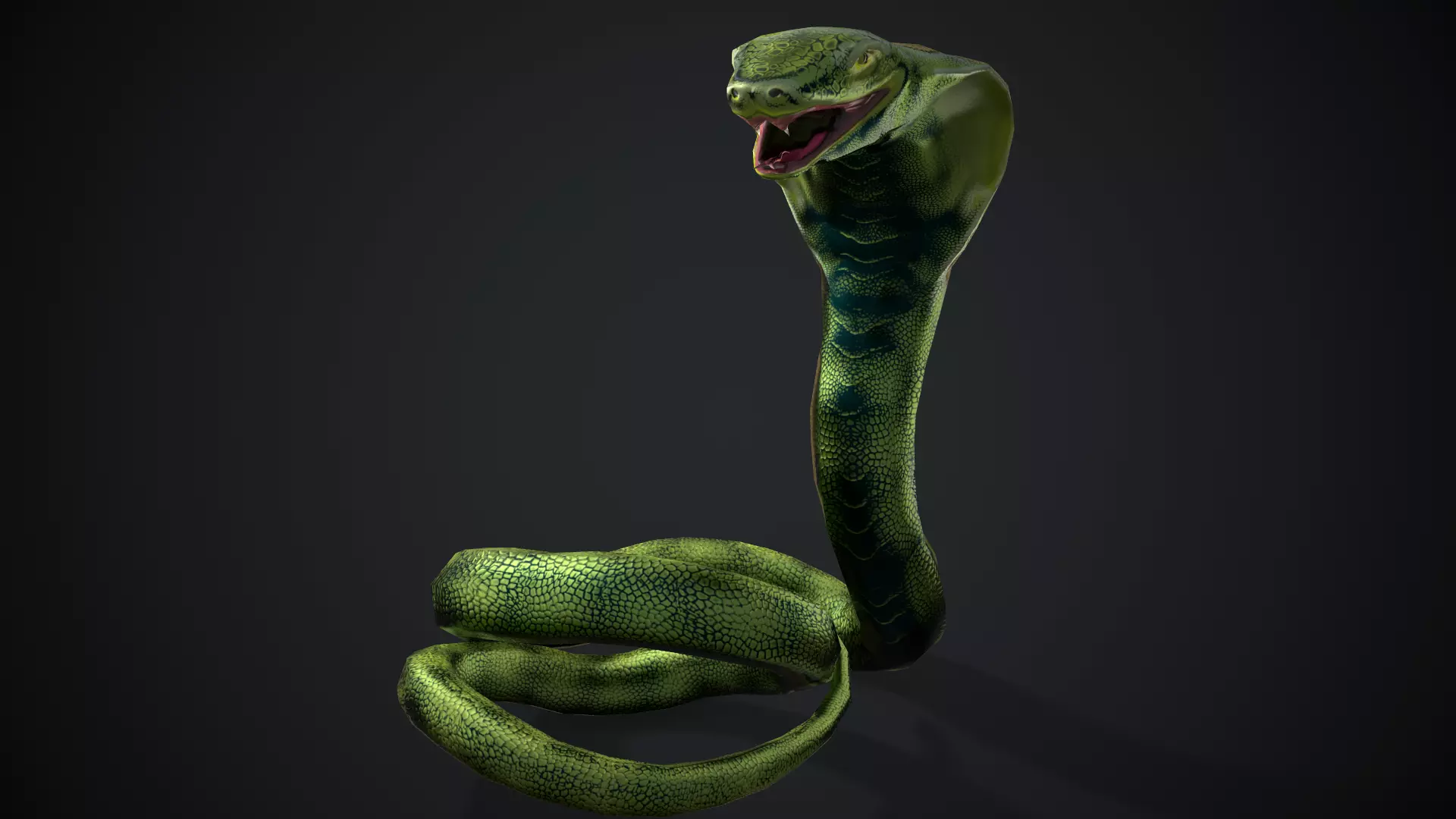 Green Snake Low-poly 3D model_0