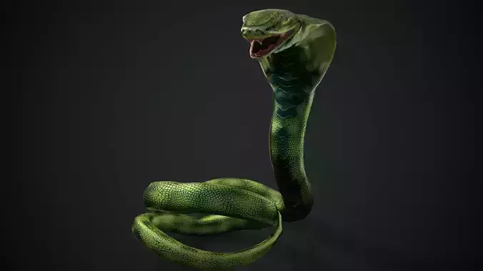 Green Snake Low-poly 3D model